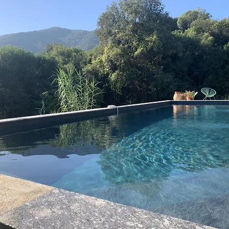 Paradisiaque En Corse * Calcatoggio (Corsica)