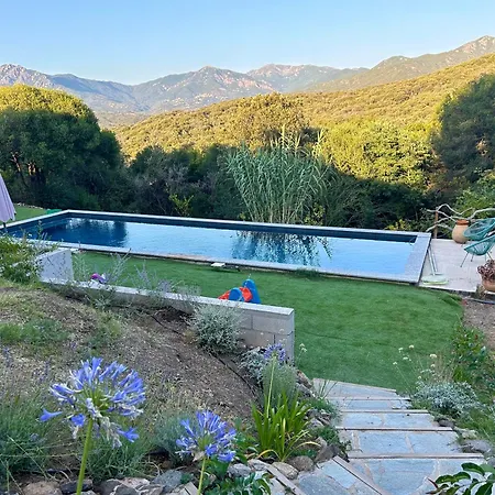 Villa Paradisiaque En Corse Calcatoggio (Corsica)